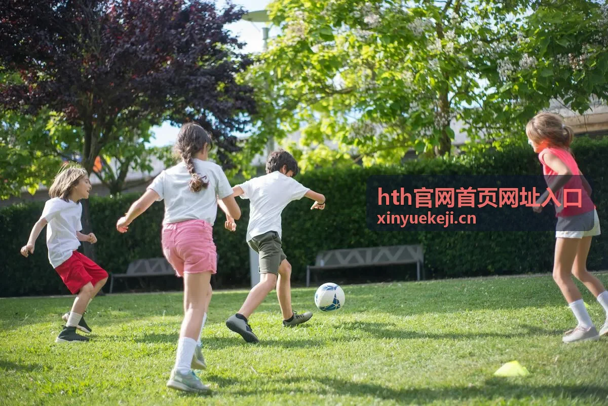 hth官网首页网址入口官方通道示意图